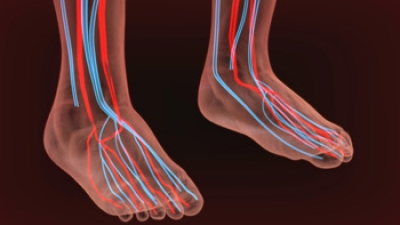 What Are the Symptoms of Neuropathy?